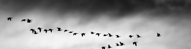 Convocatoria #OpenDigital Mijas (Málaga)&nbsp;19-E