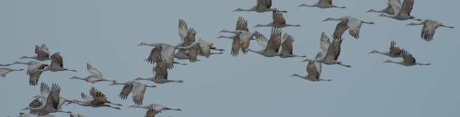 ¿Vas a venir a EABE19? Abrimos la&nbsp;inscripción.